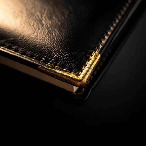 The Hidden Ledger — a black leather-bound ledger with gold corner detail